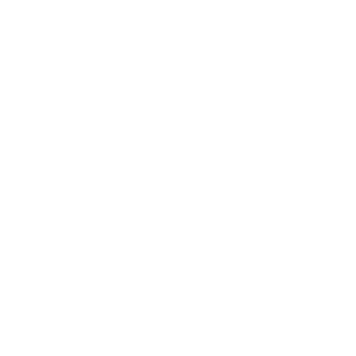 Rehabilitación Pulmonar