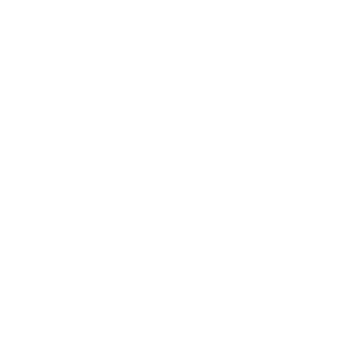 Terapia de Deglución
